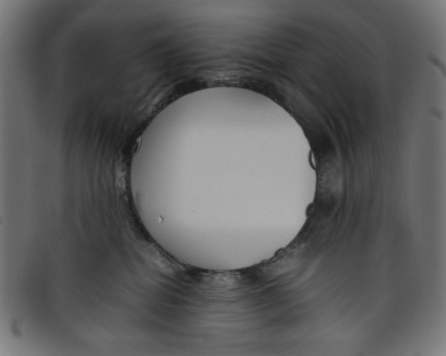 X0000098100282200804251412