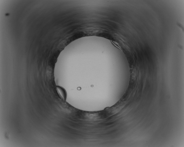 X0000098100283200804251412