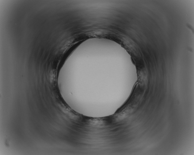 X0000098100284200804251412