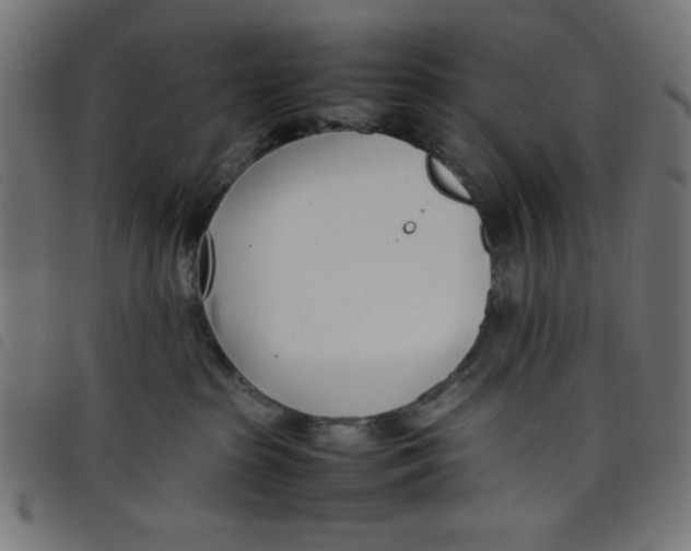X0000098100285200804251412