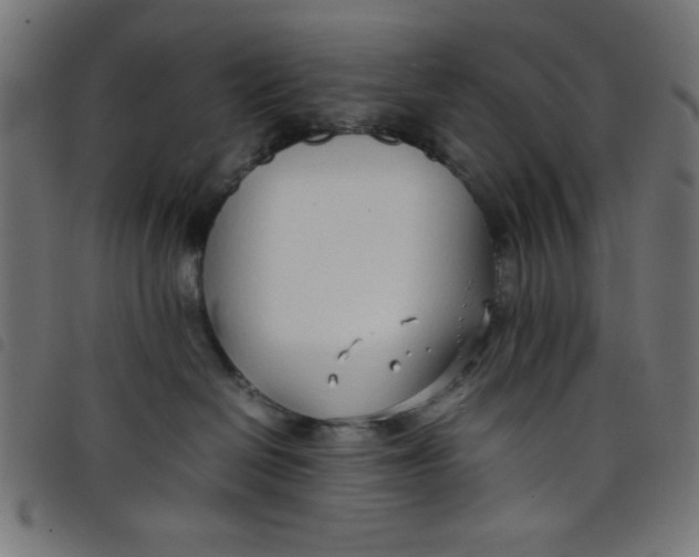 X0000098100286200804251412