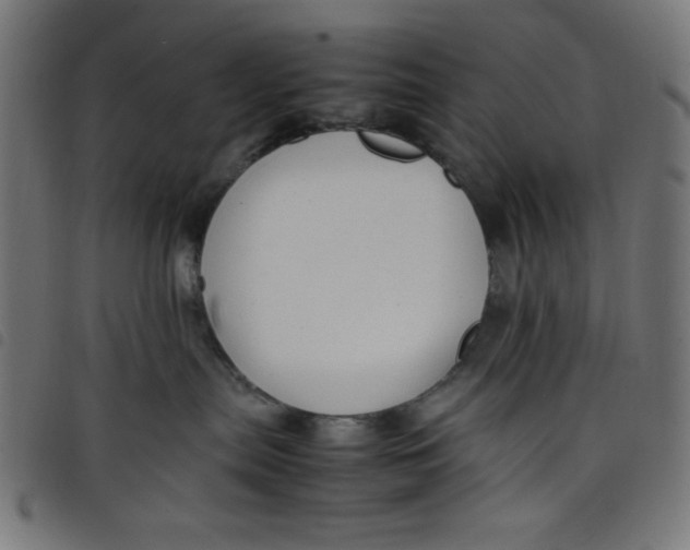 X0000098100287200804251412