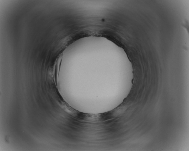 X0000098100288200804251412