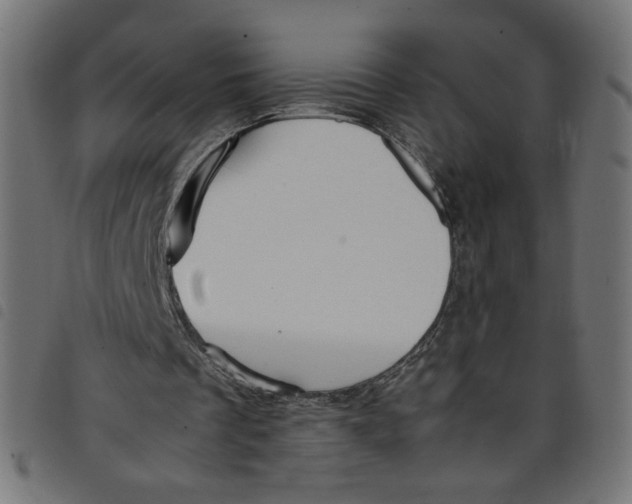 X0000098100289200804251411