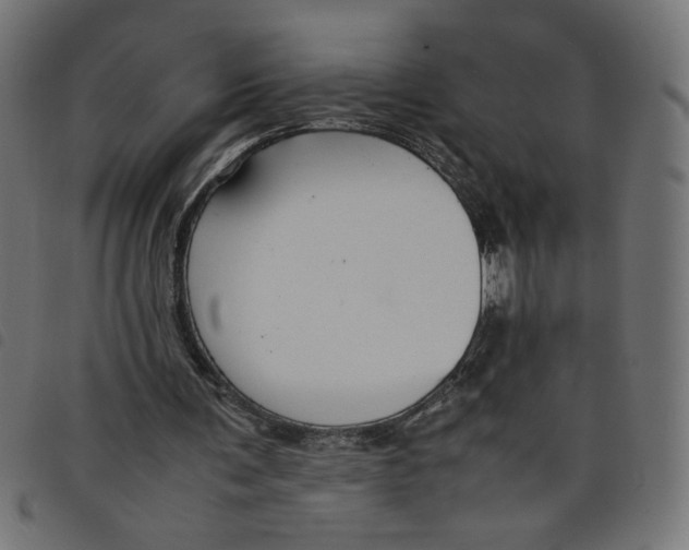 X0000098100291200804251411