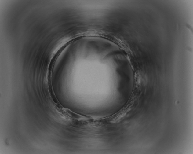 X0000098100292200804251411