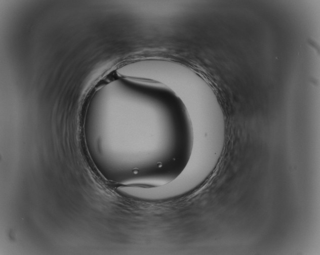 X0000098100293200804251411