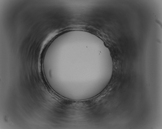 X0000098100294200804251411