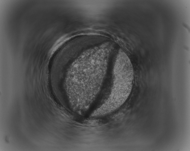 X0000098100295200804251411