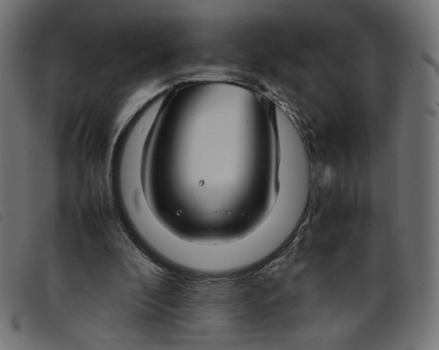 X0000098100296200804251411