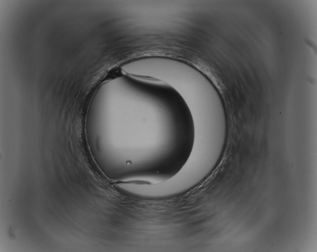 X0000098100297200804251411