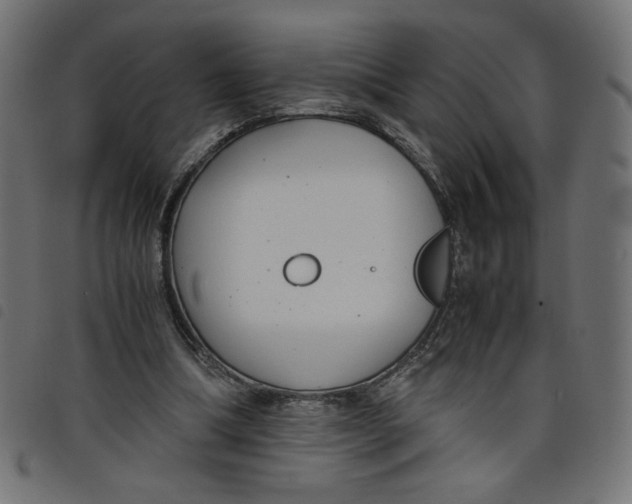 X0000098100298200804251411