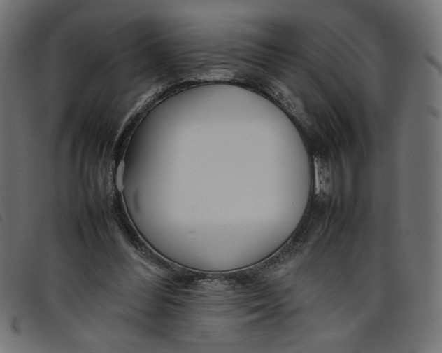 X0000098100300200804251411