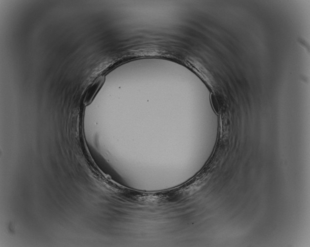 X0000098100301200804251411