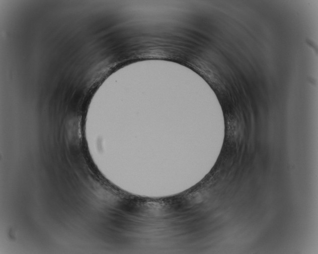 X0000098100302200804251411