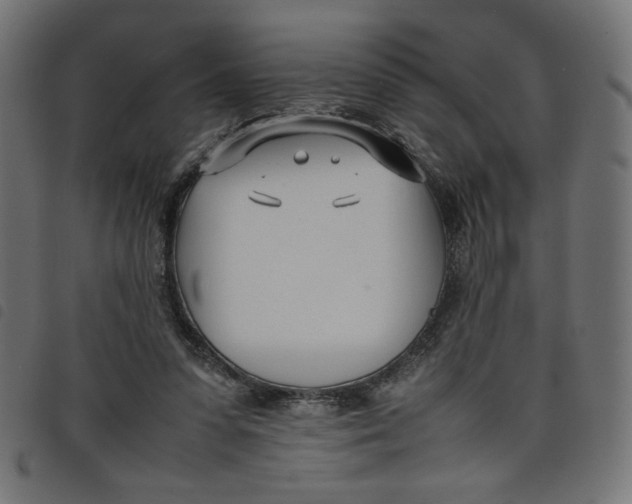 X0000098100303200804251411