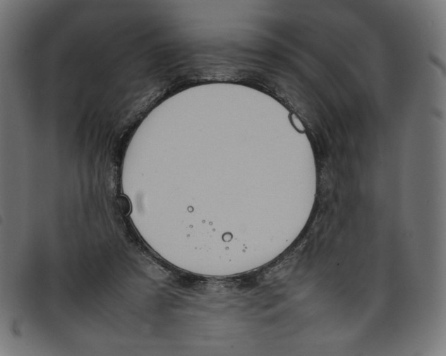 X0000098100305200804251411