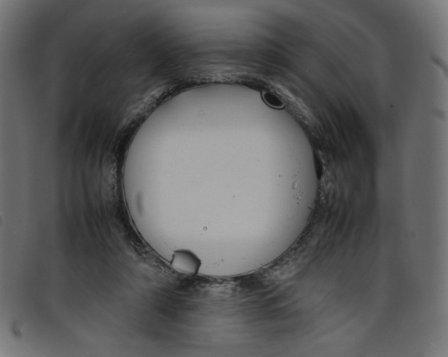 X0000098100306200804251411