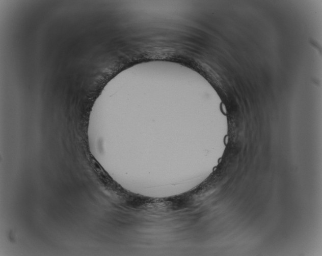 X0000098100307200804251411