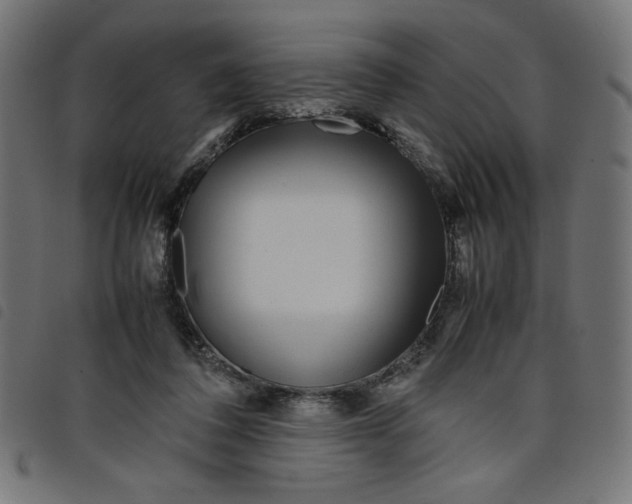 X0000098100308200804251411