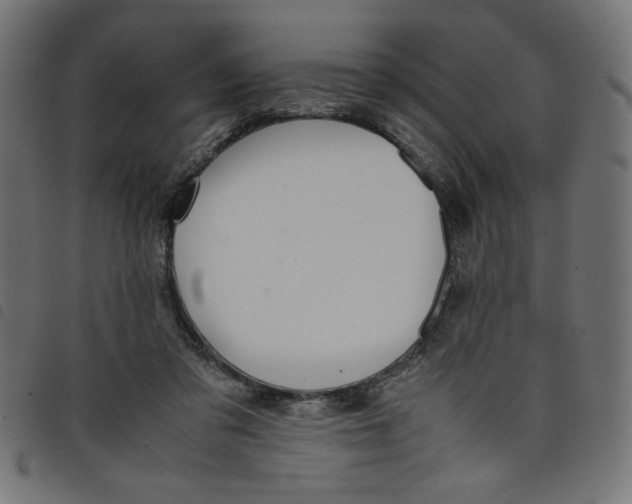 X0000098100309200804251411