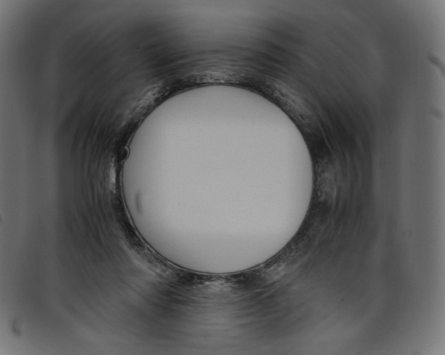 X0000098100310200804251411