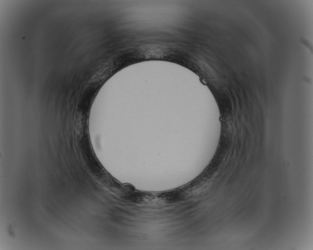 X0000098100311200804251411