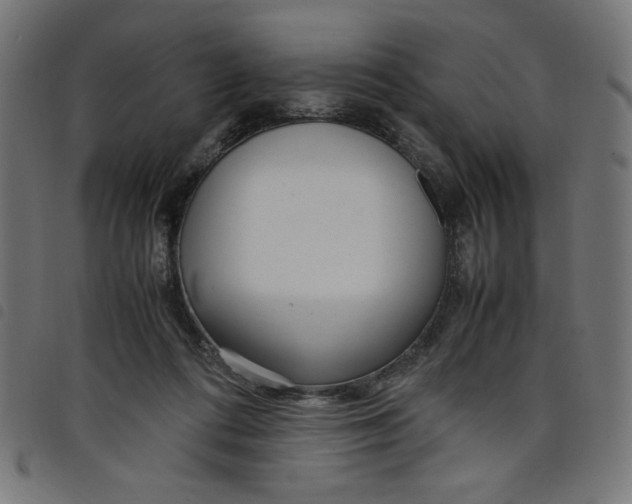 X0000098100312200804251411