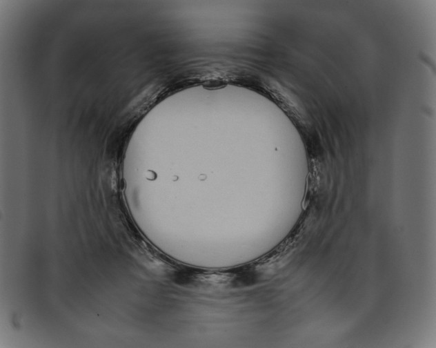 X0000098100313200804251411