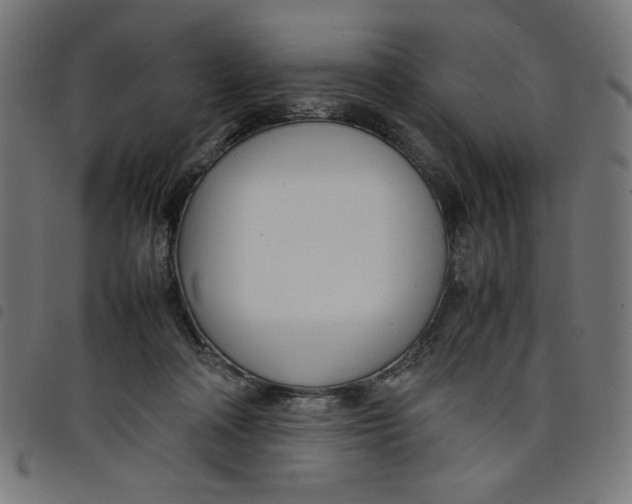 X0000098100314200804251411
