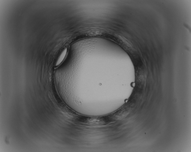 X0000098100315200804251411