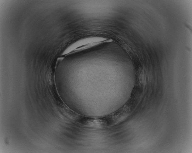 X0000098100316200804251411
