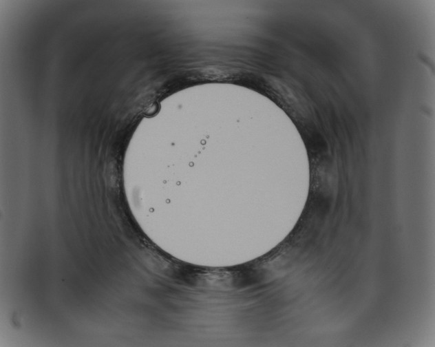 X0000098100317200804251411