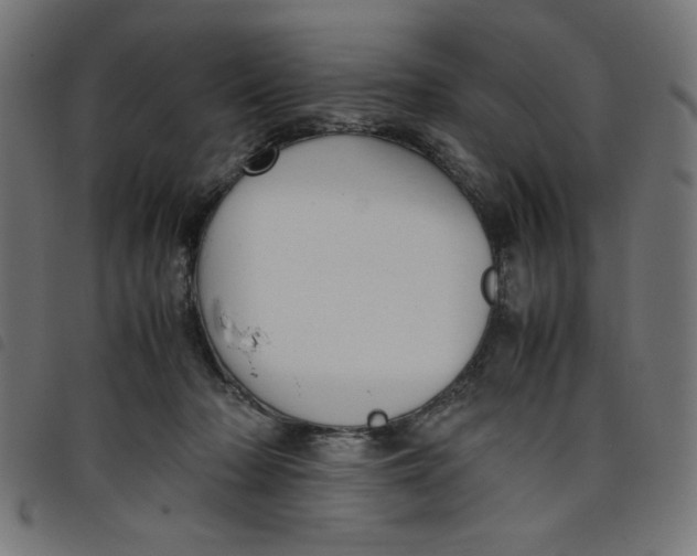 X0000098100318200804251411