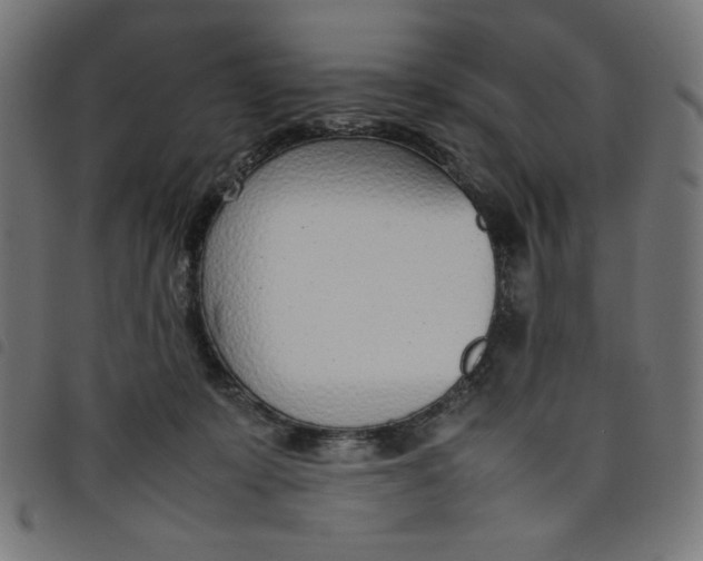 X0000098100319200804251411