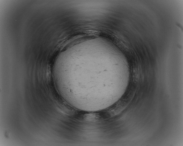 X0000098100320200804251411