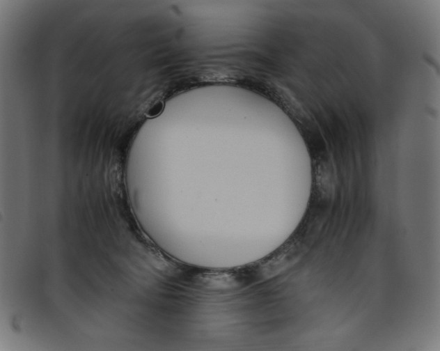 X0000098100322200804251411