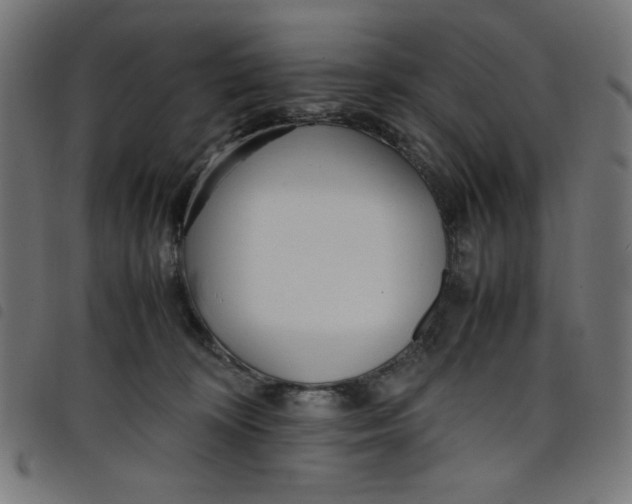 X0000098100324200804251411