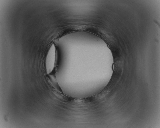 X0000098100325200804251411