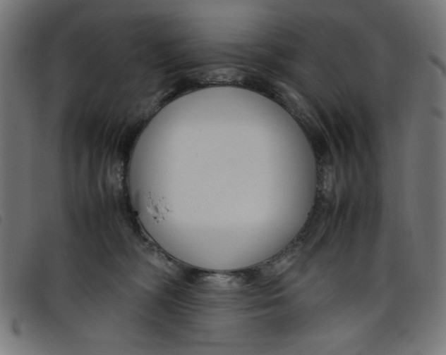 X0000098100326200804251411