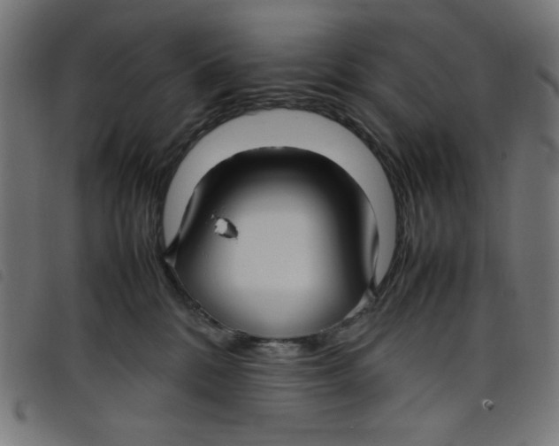 X0000098100328200804251410
