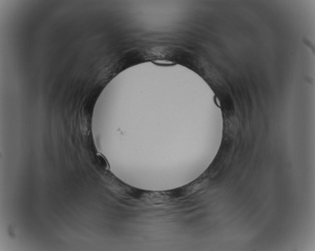 X0000098100331200804251410