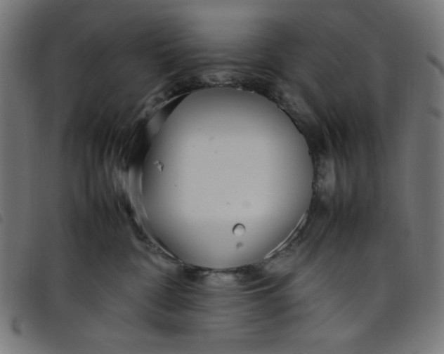X0000098100332200804251410