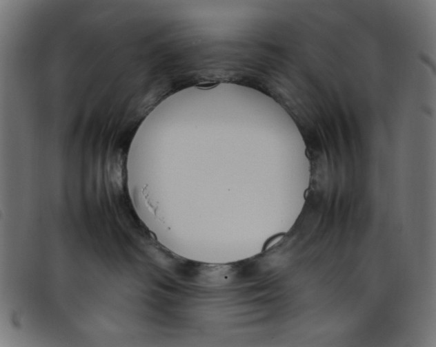 X0000098100334200804251410
