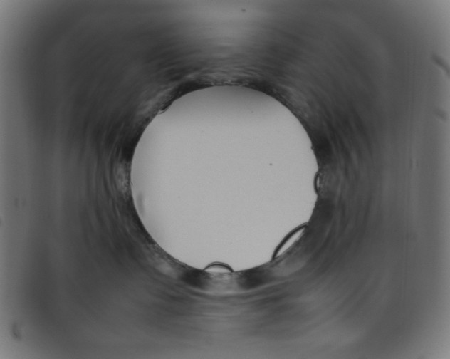 X0000098100335200804251410