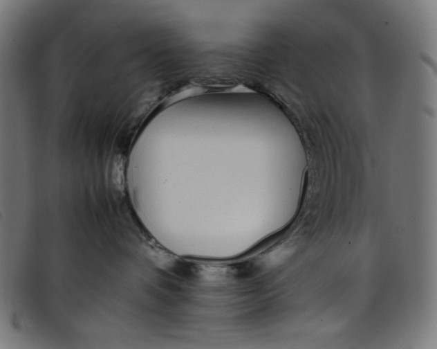 X0000098100336200804251410