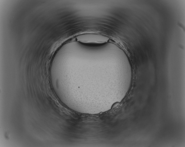 X0000098100337200804251409