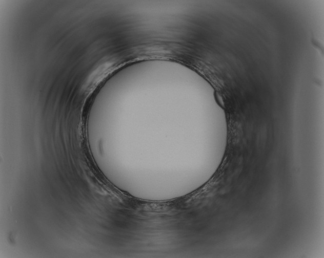 X0000098100338200804251410