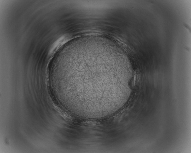 X0000098100339200804251410