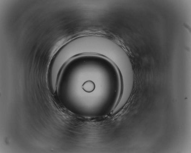 X0000098100340200804251410